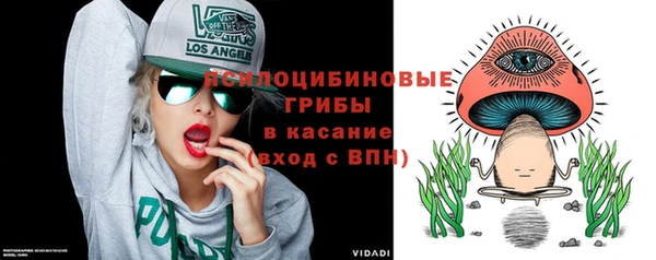 PSILOCYBIN Беломорск