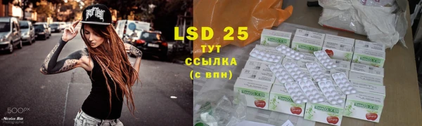 PSILOCYBIN Беломорск
