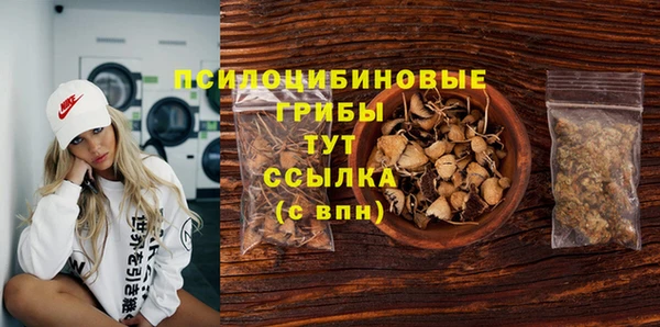 PSILOCYBIN Беломорск