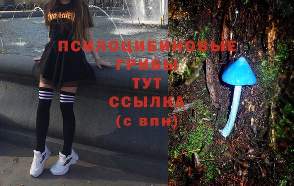 PSILOCYBIN Беломорск